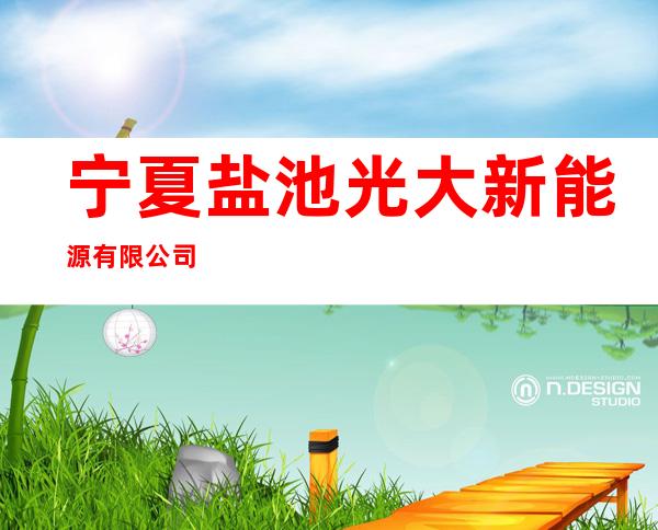 宁夏盐池光大新能源有限公司